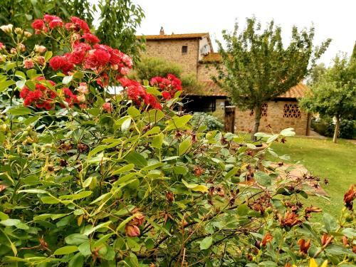 Apartamento Villa La Mucchia - Lavanda