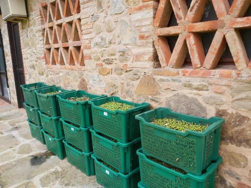 Apartamento Villa La Mucchia - Lavanda