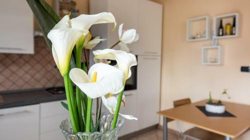 Apartamento Welcomely - Egidio Piras 11