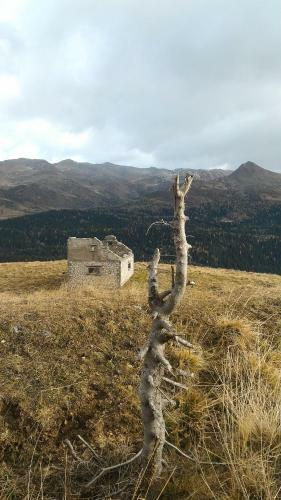 Apartamento Balcone Sulle Dolomiti 2