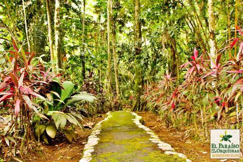 Posada Hosteria El Paraiso De Las Orquideas