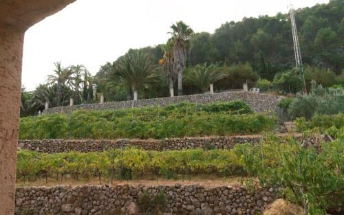 Hotel Son Borguny