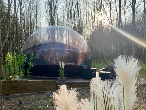 La Bulle "bubble Jungle"