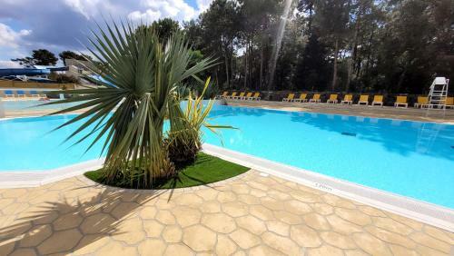 Belles Vacances En Bord De Mer Dans Camping 4 Etoiles