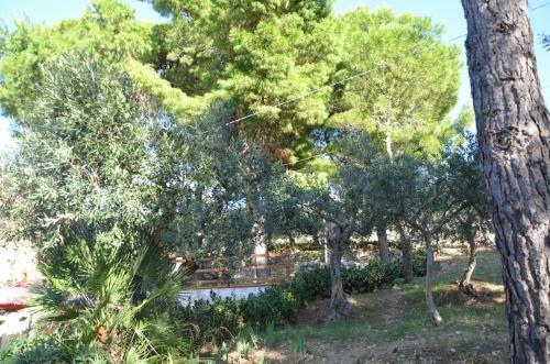 Il Paradiso Di Giacomo