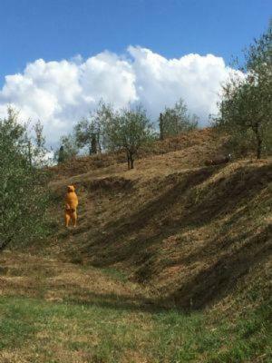 Bed & Breakfast Il Casale Di Lavinia