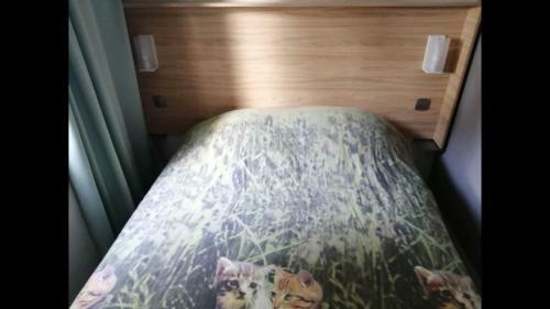 Mobile Home 67699 Tybreizh Holidays In Bois Masson