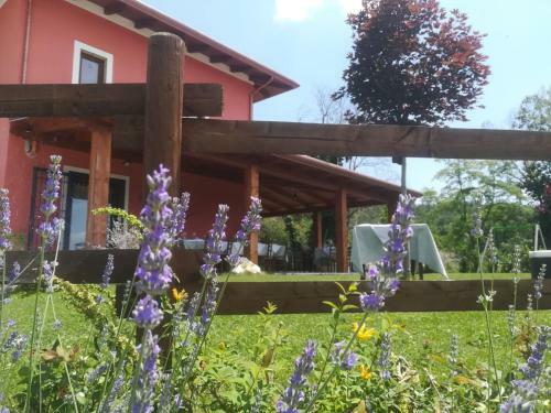 Bed & Breakfast La Cascina Nel Bosco