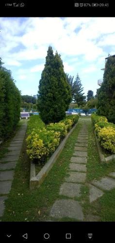 Residence Baia Blu Falcone