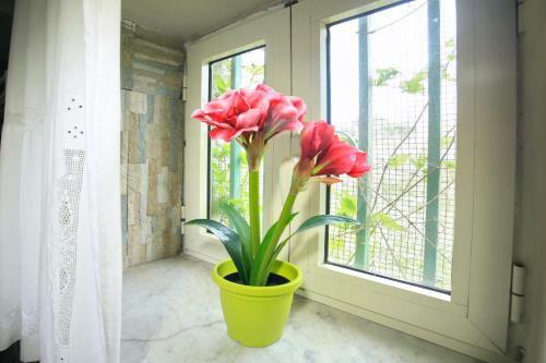 Apartamento Rifugio Del Marchese