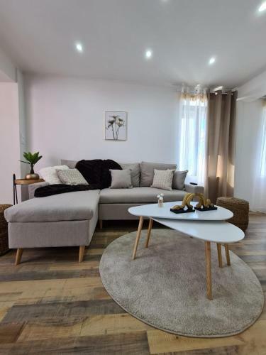 Apartamento Le Raffin�-parking Priv�-proche Fronti�re B�le
