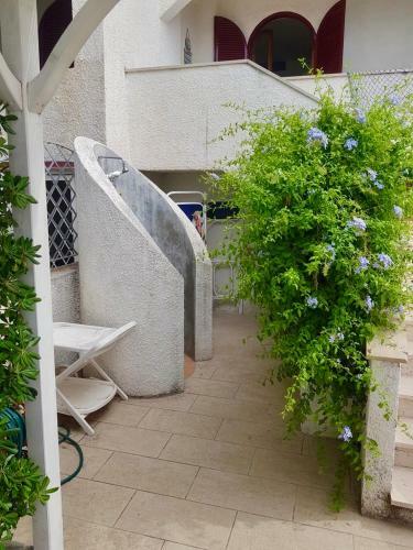 Casa Vista Mare Su Tre Piani Con Giardino