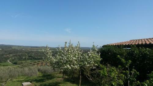 Agroturismo Podere Mammoleta