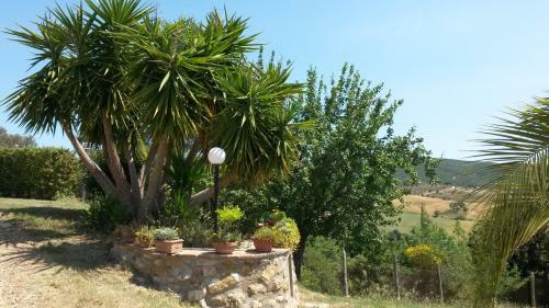 Agroturismo Podere Mammoleta