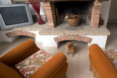 Apartamento Tognazzi Casa Vacanze - Casa Ailantus