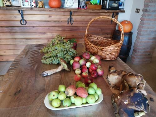 Bed & Breakfast Masseria Le Querciole