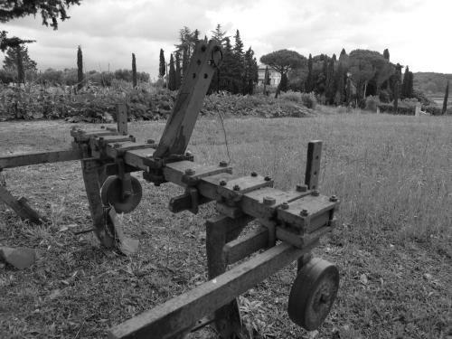 Bed & Breakfast Masseria Le Querciole