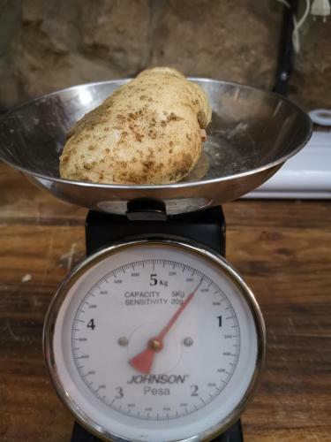 Bed & Breakfast Masseria Le Querciole