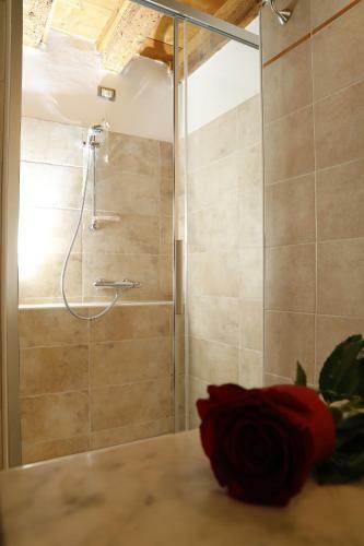 Apartamento Luzzo 15