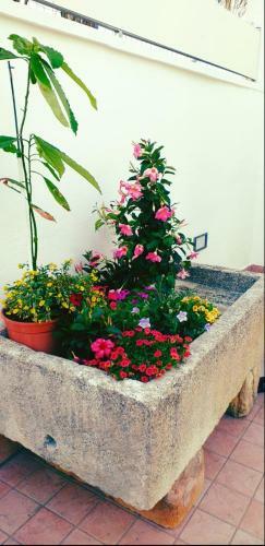 Bed & Breakfast A Casa Tu Zi Melu