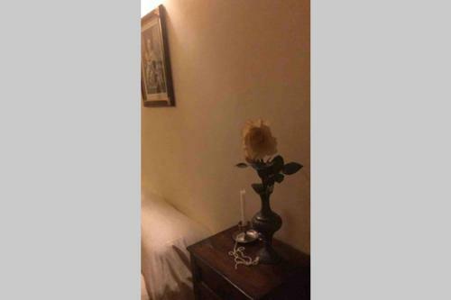 Apartamento Palazzo Costantini Ludovica Home