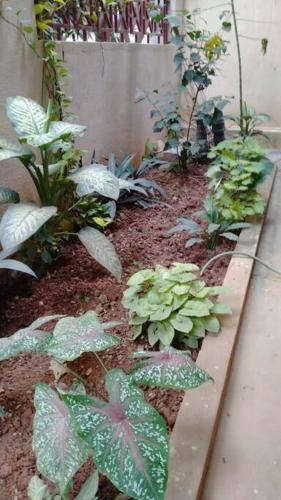Apartamento Das Gro�e Rosa @ Shibani's Corner, Brookefields