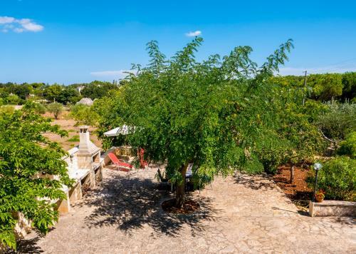 Apartamento La Casa Di Gigi
