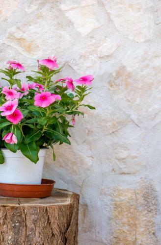 Apartamento La Casa Di Gigi