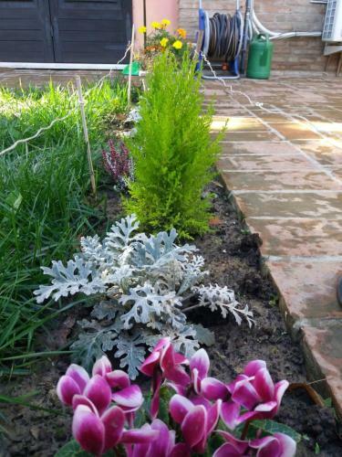 Bed & Breakfast R&b Un Mondo A Colori