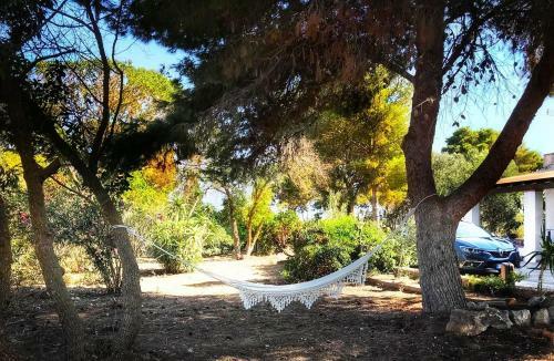 Villa Favignana Cocciu D?amuri