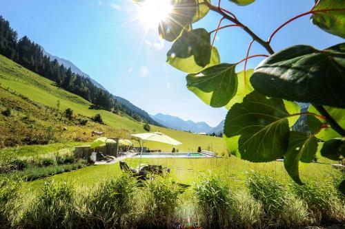 Hotel Der L�rchenhof