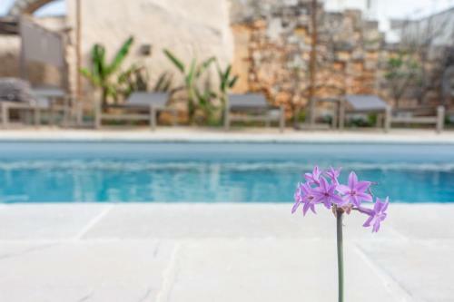 Bed & Breakfast Palazzo Frangipane