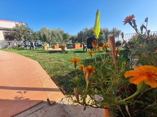 Hostal Il Colle Degli Ulivi