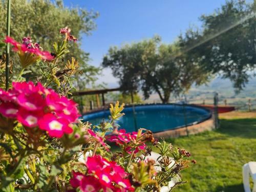 Hostal Il Colle Degli Ulivi
