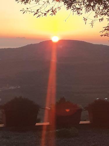 Hostal Il Colle Degli Ulivi