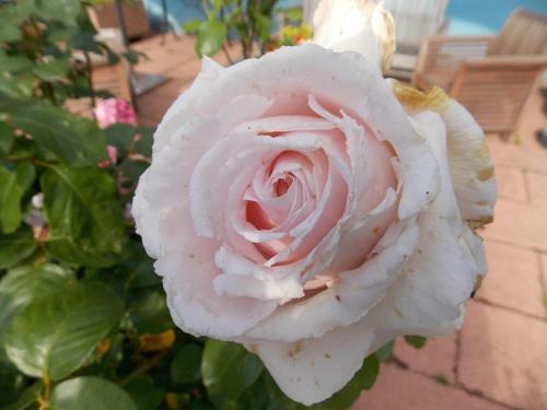 Bed & Breakfast Chambre D'h�tes Du G�te Bleu