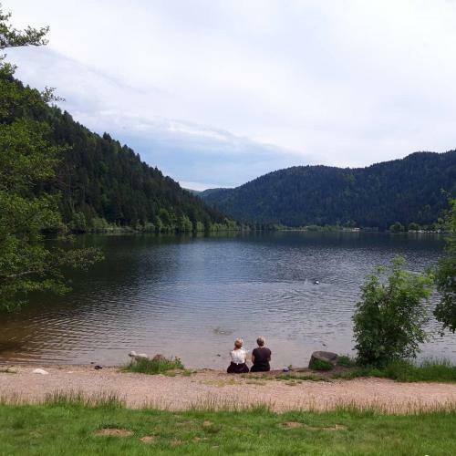Apartamento Logement Familial Proche Du Lac De Longemer