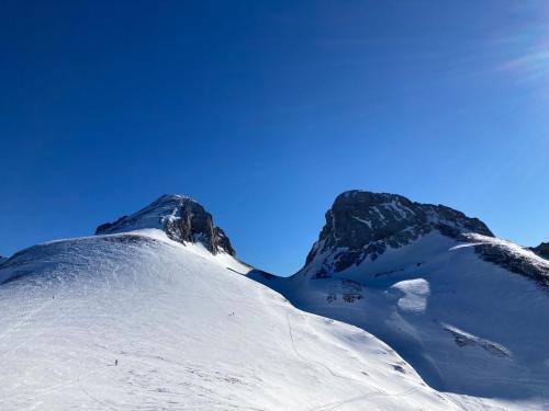 Apartamento Les Carroz D?arrach�s Ski & Mountain