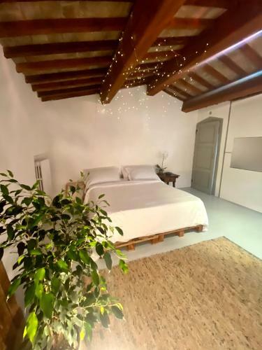Fienile Toscano Con Piscina Privata