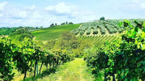 Agriturismo Sant'ellero