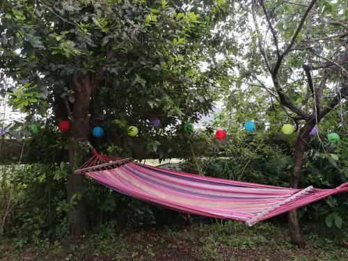 Apartamento Casa Delle Palme