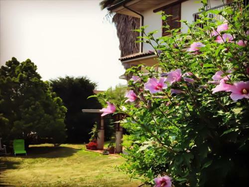 Apartamento Casa Delle Palme