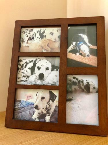 Apartamento La Tana Dei Dalmatini
