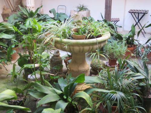 Apartamentos Tur�sticos El Losal