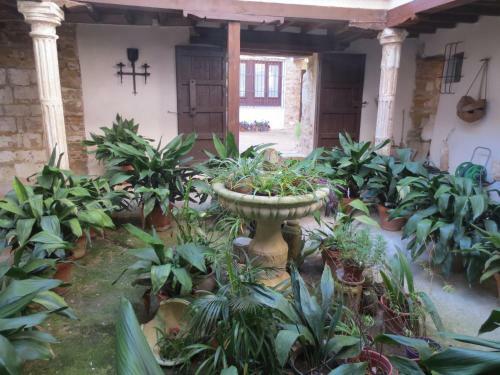 Apartamentos Tur�sticos El Losal