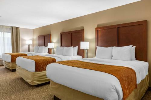 Hotel Comfort Inn Smithfield