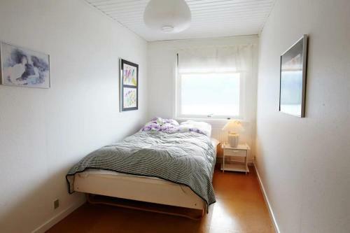 Apartamento Liljulon / First Floor / Views / Location