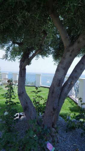 Apartamento Tal�a Residence