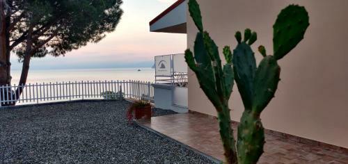 Apartamento Tal�a Residence