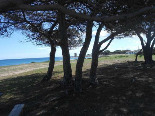 Apartamento Appartamento Vecchia Pineta 2